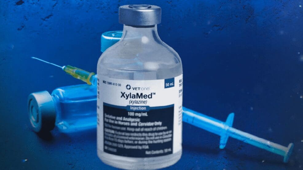 XylaMed injection vial with a syringe and needle on a blue background.