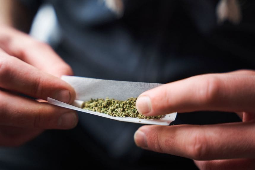 Close-up of hands rolling a joint with ground cannabis in a rolling paper.