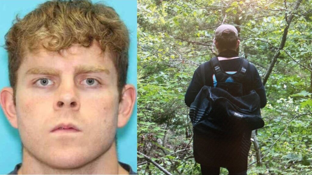 Person with a backpack standing in a forest, viewed from behind, surrounded by trees.