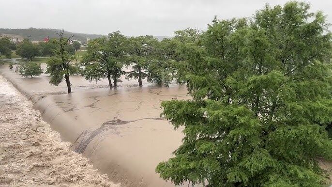 Flooded area with several trees partially submerged in water during a rain event.
